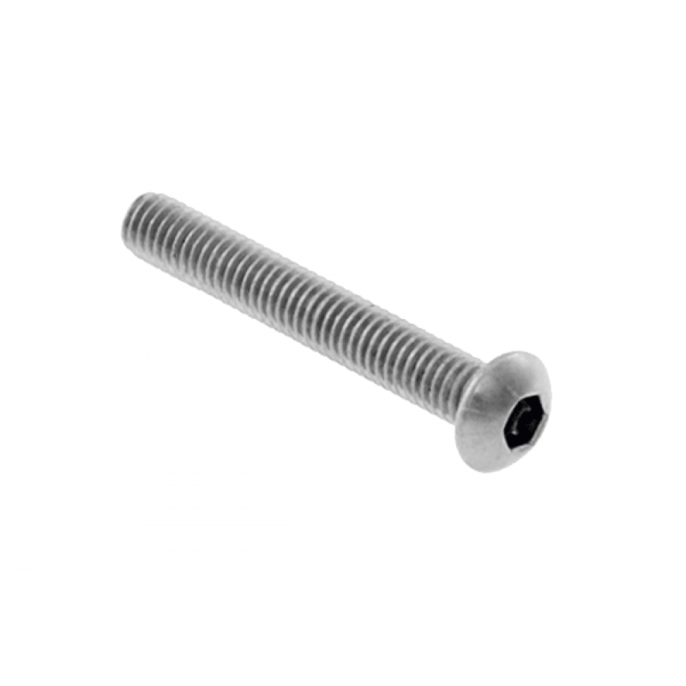 Socket Screw B/Head 6 x 40mm AISI 304