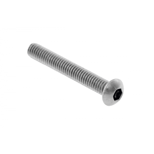 Socket Screw B/Head 5 x 30mm AISI 304