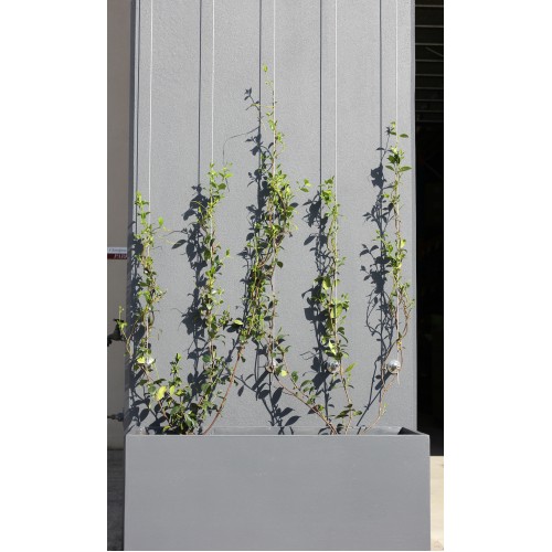 Vertical Wall Kit - 10 Metre