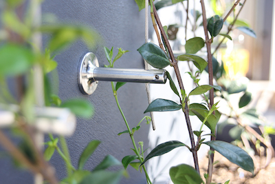 Green Wall & Trellis Systems