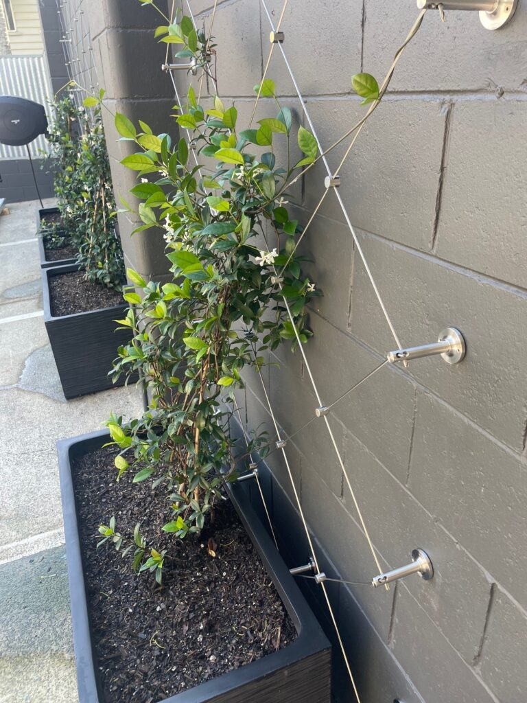 Green Wall – Diamond